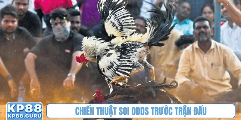 Chiến thuật soi odds trước trận đấu