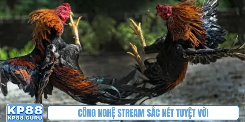 Công nghệ stream sắc nét tuyệt vời