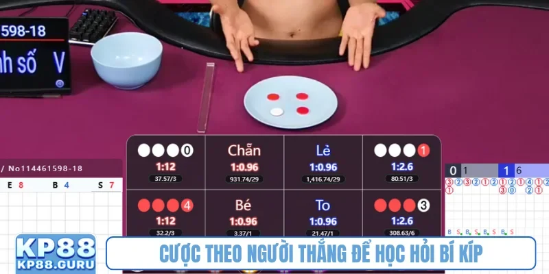 Cược theo người thắng để học hỏi bí kíp